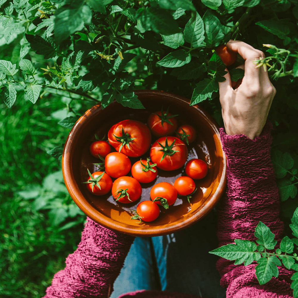 organic-garden-amenities